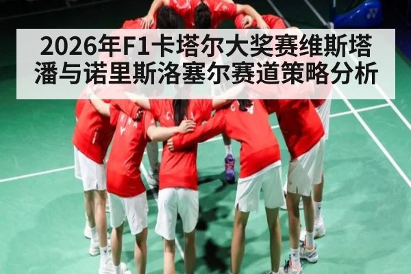 2026年F1卡塔尔大奖赛维斯塔潘与诺里斯洛塞尔赛道策略分析